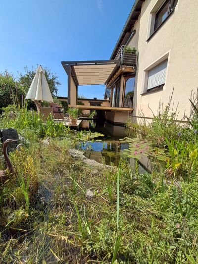 Unterglasmarkise und Seitenmarkise an moderner Aluminium-Terrassenüberdachung